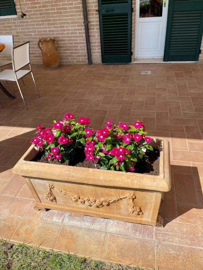La Posta Di Bacco Apartman Gualdo Cattaneo Kültér fotó